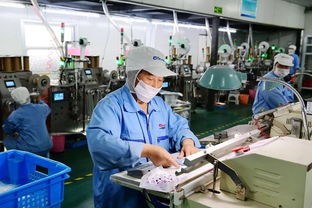 江苏欧凯把握市场脉搏，深耕短保食品企业咨询新蓝海