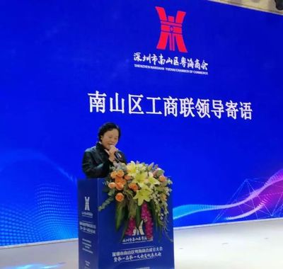 南山首个街道商会成立，汇聚业界精英，赋能企业市场开发新篇章